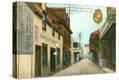 Stretched Canvas Print