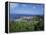 St Georges, Grenada, Caribbean-Robert Harding-Framed Premier Image Canvas