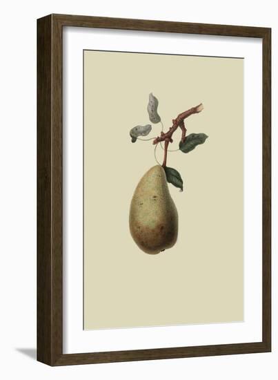 St. Germain Pear-William Hooker-Framed Art Print