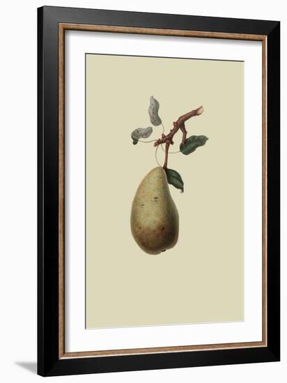 St. Germain Pear-William Hooker-Framed Art Print