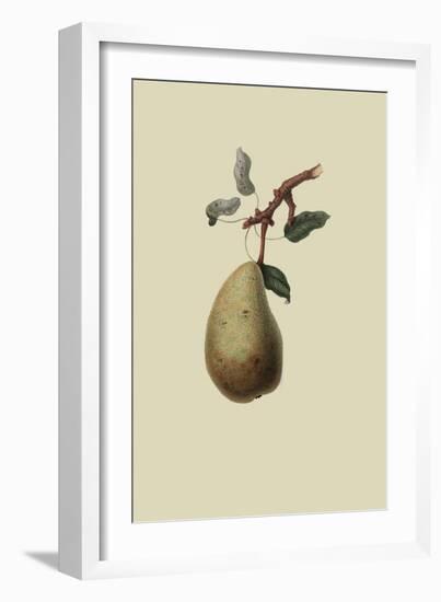 St. Germain Pear-William Hooker-Framed Art Print