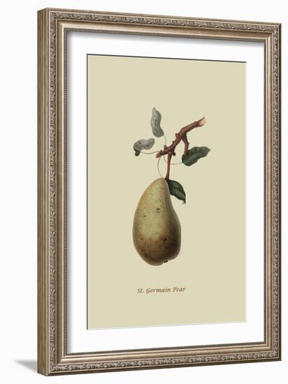 St. Germain Pear-William Hooker-Framed Art Print