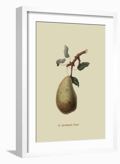 St. Germain Pear-William Hooker-Framed Art Print