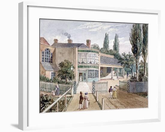 St Helena Tea Gardens, Lower Road, Rotherhithe, London, C1860-null-Framed Giclee Print