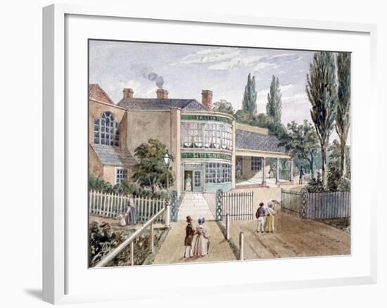 St Helena Tea Gardens, Lower Road, Rotherhithe, London, C1860-null-Framed Giclee Print