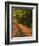 St. Helena Wine Country, Napa Valley, California-John Alves-Framed Photographic Print