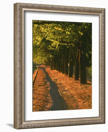 St. Helena Wine Country, Napa Valley, California-John Alves-Framed Photographic Print