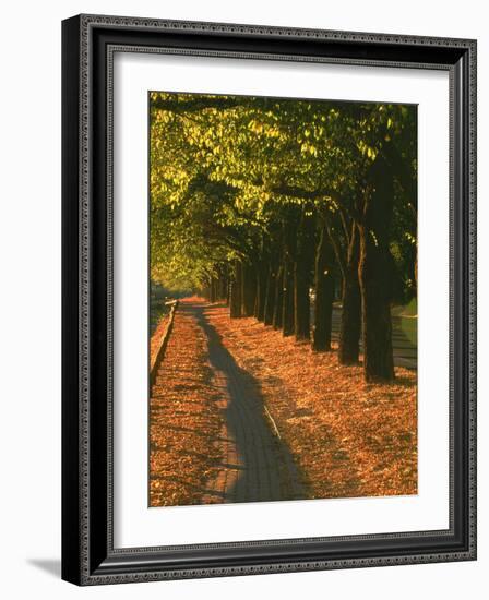 St. Helena Wine Country, Napa Valley, California-John Alves-Framed Photographic Print