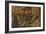 St Hieronymus Leads the Lion to the Monastery-Vittore Carpaccio-Framed Giclee Print