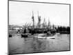 Photographic Print