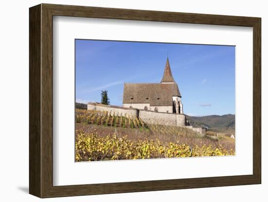 St. Jacques Church, Vineyards in Autumn, Hunawhir, Alsace, France-Markus Lange-Framed Photographic Print