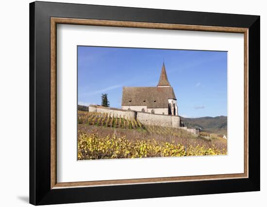 St. Jacques Church, Vineyards in Autumn, Hunawhir, Alsace, France-Markus Lange-Framed Photographic Print