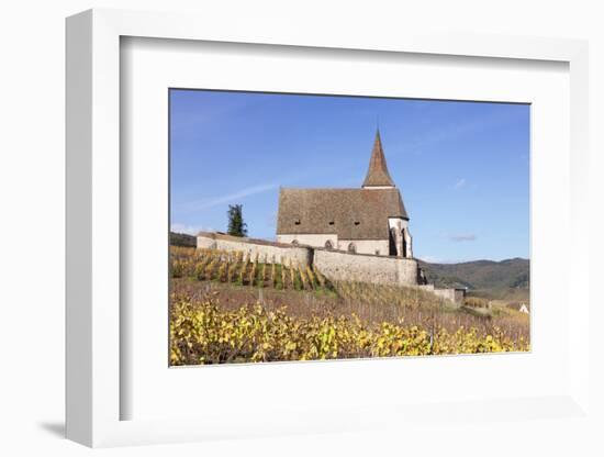 St. Jacques Church, Vineyards in Autumn, Hunawhir, Alsace, France-Markus Lange-Framed Photographic Print