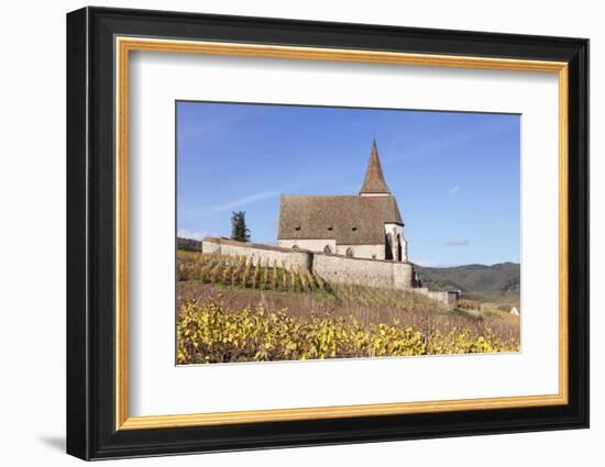 St. Jacques Church, Vineyards in Autumn, Hunawhir, Alsace, France-Markus Lange-Framed Photographic Print