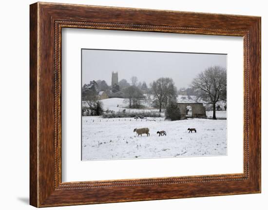 St. James' Church and Sheep with Lambs in Snow, Chipping Campden, Cotswolds-Stuart Black-Framed Photographic Print