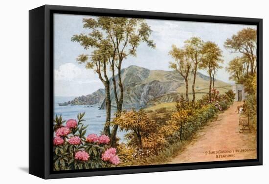 St James Gardens and Hillsborough, Ilfracombe-Alfred Robert Quinton-Framed Premier Image Canvas