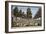 St James Palace and Park, London, Showing Formal Planting of Trees in Avenues, 1750-Jacques Rigaud-Framed Giclee Print