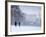 St James Park and Buckingham Palace, London, England, UK-Alan Copson-Framed Photographic Print