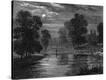 Stretched Canvas Print