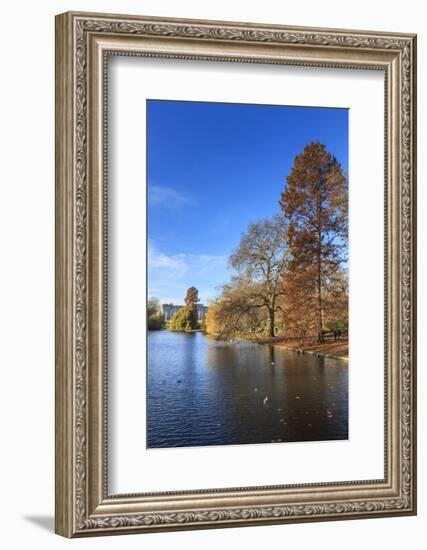 St. James's Park, with view across lake to Buckingham Palace, sunny late autumn, Whitehall, London,-Eleanor Scriven-Framed Photographic Print