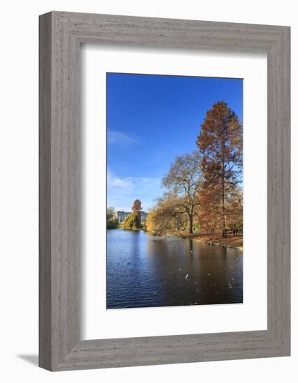 St. James's Park, with view across lake to Buckingham Palace, sunny late autumn, Whitehall, London,-Eleanor Scriven-Framed Photographic Print