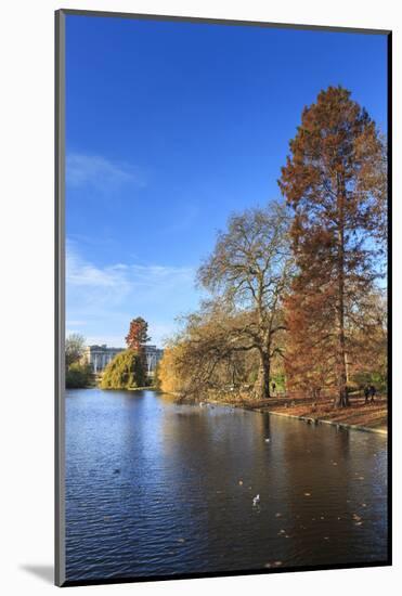 St. James's Park, with view across lake to Buckingham Palace, sunny late autumn, Whitehall, London,-Eleanor Scriven-Mounted Photographic Print