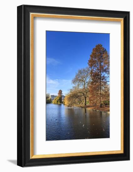 St. James's Park, with view across lake to Buckingham Palace, sunny late autumn, Whitehall, London,-Eleanor Scriven-Framed Photographic Print