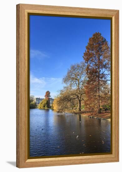 St. James's Park, with view across lake to Buckingham Palace, sunny late autumn, Whitehall, London,-Eleanor Scriven-Framed Premier Image Canvas