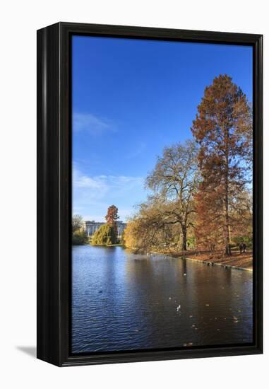 St. James's Park, with view across lake to Buckingham Palace, sunny late autumn, Whitehall, London,-Eleanor Scriven-Framed Premier Image Canvas