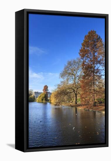 St. James's Park, with view across lake to Buckingham Palace, sunny late autumn, Whitehall, London,-Eleanor Scriven-Framed Premier Image Canvas