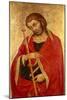 St. James the Great-Taddeo di Bartolo-Mounted Giclee Print