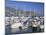 St. Jean-Cap-Ferrat, Cap Ferrat, Near Nice, Alpes Maritimes, Provence, Cote D'Azur, France-David Hughes-Mounted Photographic Print