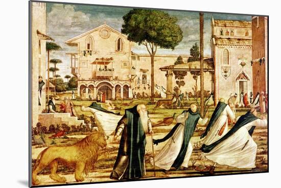 St. Jerome and Lion in the Monastery, 1501-09-Vittore Carpaccio-Mounted Giclee Print