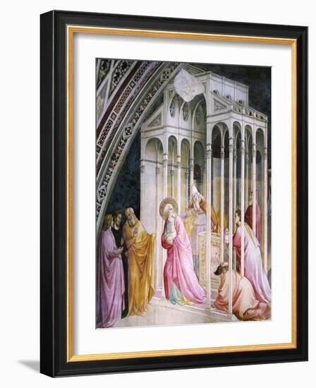 St Joachim Being Expelled from Temple, Detail from Stories of Virgin-Taddeo Gaddi-Framed Giclee Print