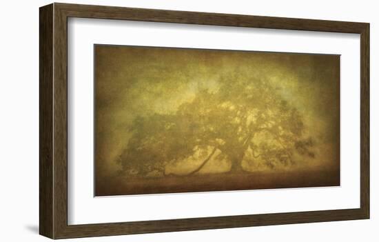 St. Joe Plantation Oak in Fog 3-William Guion-Framed Giclee Print