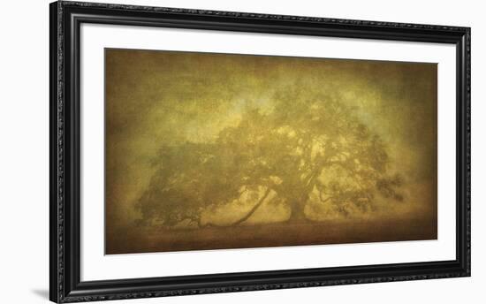 St. Joe Plantation Oak in Fog 3-William Guion-Framed Giclee Print