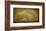 St. Joe Plantation Oak in Fog 3-William Guion-Framed Art Print
