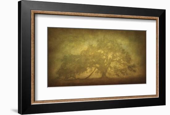 St. Joe Plantation Oak in Fog 3-William Guion-Framed Art Print