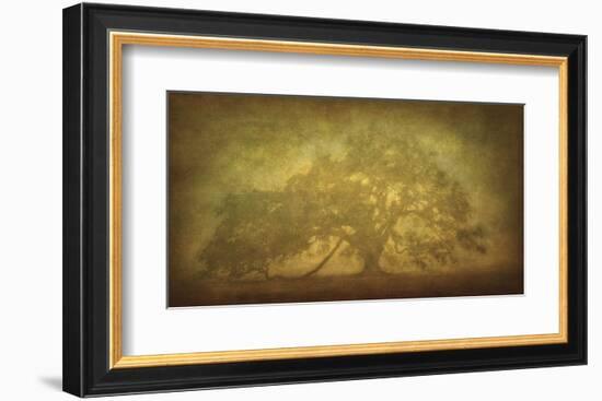 St. Joe Plantation Oak in Fog 3-William Guion-Framed Art Print