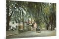 Premium Giclee Print