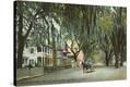 Stretched Canvas Print