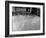 St. John's Basketball Team Members Practicing While their Coach Looks On-Ralph Morse-Framed Photographic Print