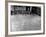 St. John's Basketball Team Members Practicing While their Coach Looks On-Ralph Morse-Framed Photographic Print