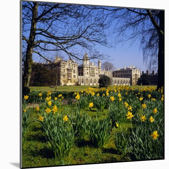 St. John's College, Cambridge, Cambridgeshire, England, UK-Geoff Renner-Mounted Photographic Print