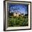 St. John's College, Cambridge, Cambridgeshire, England, UK-Geoff Renner-Framed Photographic Print