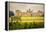 St John's College in Cambridge University-sborisov-Framed Premier Image Canvas