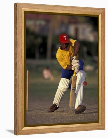 St. John's International Cricket Match, Antigua, Caribbean-Greg Johnston-Framed Premier Image Canvas