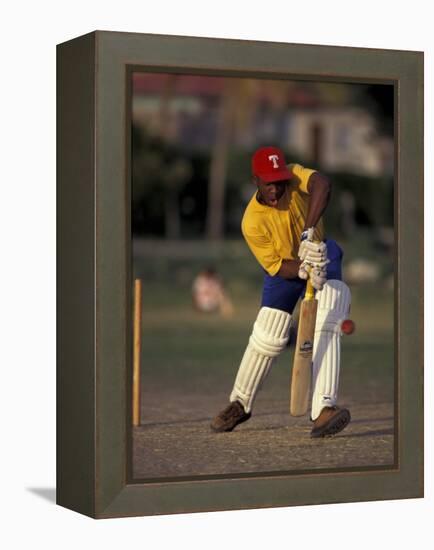 St. John's International Cricket Match, Antigua, Caribbean-Greg Johnston-Framed Premier Image Canvas