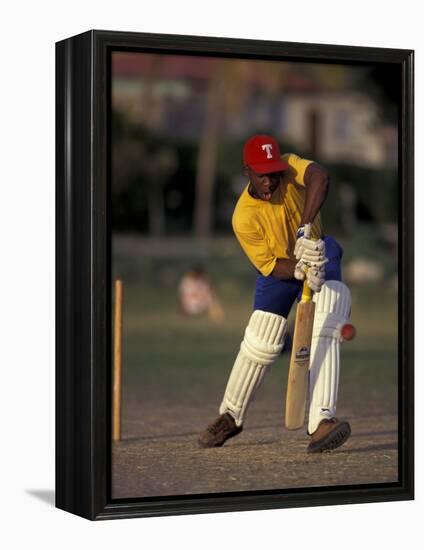 St. John's International Cricket Match, Antigua, Caribbean-Greg Johnston-Framed Premier Image Canvas