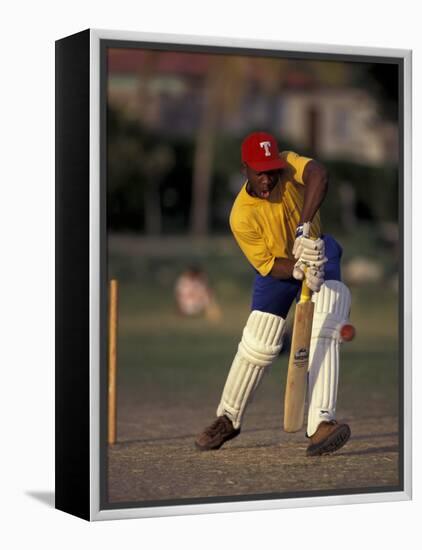 St. John's International Cricket Match, Antigua, Caribbean-Greg Johnston-Framed Premier Image Canvas